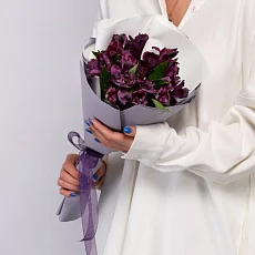 5 Фиалковых Альстромерий в упаковке