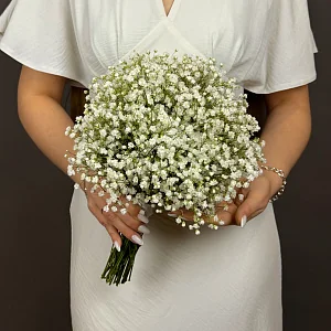 Свадебная гипсофила 