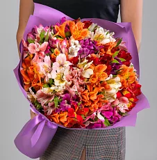 35 Альстромерий Микс в упаковке 