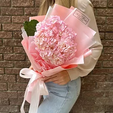 Розовая гортензия в дизайнерской упаковке