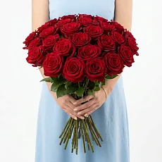 25 Шикарных роз Explorer (Эквадор)