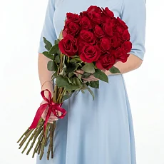 Красные розы 15 шт