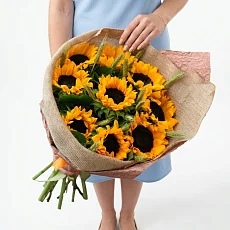9 Подсолнухов в упаковке