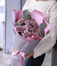 11 Гвоздик Hypnosis