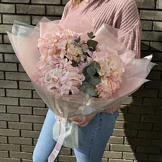 Розовые гортензии с Зеленью