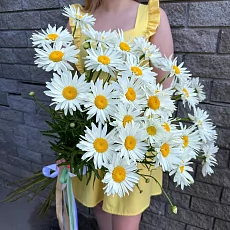 Букет Ромашки