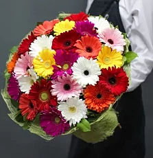 Букет из 25 гербер микс