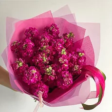 17 Малиновых Маттиол в упаковке 