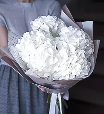 Букет из белых гортензий