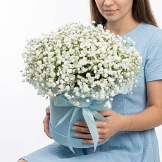 Белоснежная гипсофила в коробке