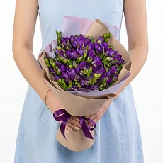 25 Фиолетовых Фрезий в упаковке