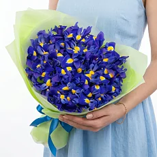 Букет из 29 Синих Ирисов