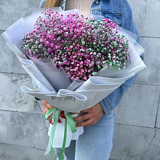 Гипсофила Цветная микс