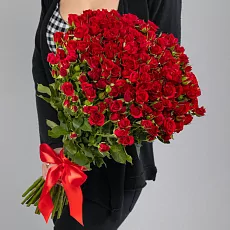 51 Красная Роза 