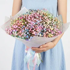 15 Радужных Гипсофил