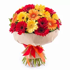 25 Гербер Микс в крафте