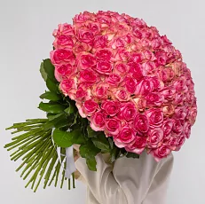 101 Розово-Белая Роза 