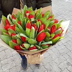 Букет из 51 Пурпурного Тюльпана в нежном крафте 