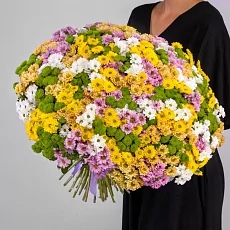 101 Сантини Микс