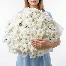 31 Кустовая Хризантема