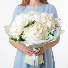 3 Снежные Гортензии