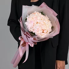 Нежная гортензия в упаковке