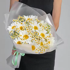 25 Ромашек Микс