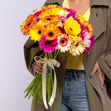 35 Гербер Микс