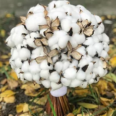 Букет невесты из белого хлопка