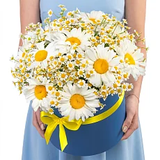 23 Ромашек Микс в коробке