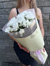 5 Кустовых хризантем в упаковке 