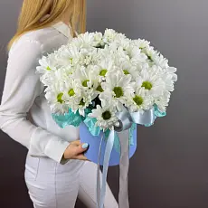 Букет живых цветов с хризантемой бакарди в нежной шляпной коробке