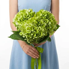 Букет из зеленых гортензий
