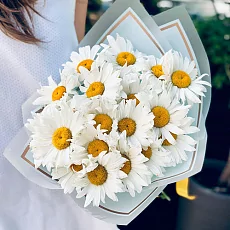 Букет из 17 крупноголовых ромашек