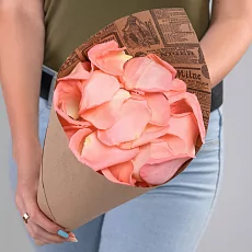 Лепестки Розовых Роз