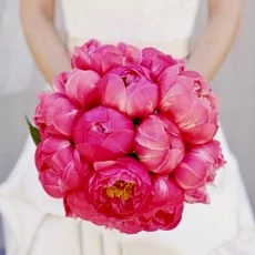 букет невесты из 15 коралловых пионов 