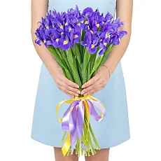 19 Синих Ирисов