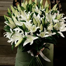 19 Снежных Лилий 