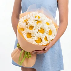 11 Крупных Ромашек