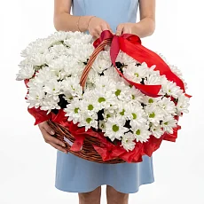 25 Хризантем в Корзине