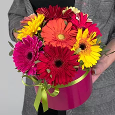 9 Гербер Микс в коробке