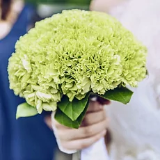 Букет невесты из зеленых гвоздик