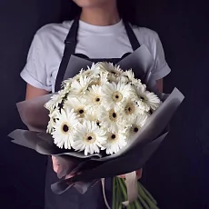 25 Белых Гербер в упаковке