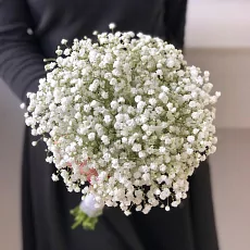 Свадебная белая гипсофила для невесты