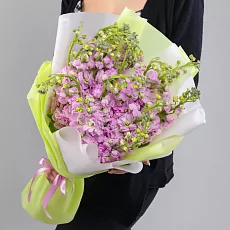 15 Розовых Маттиол в упаковке