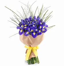 25 Синих Ирисов в крафте