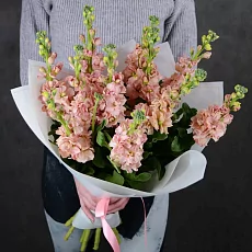 Букет "11 Светло-Коричневых Маттиол"