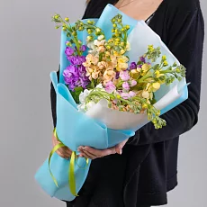 9 Маттиол Микс