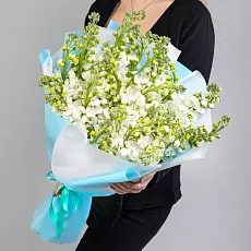 25 Белых Маттиол в упаковке 