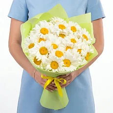 25 Крупных Ромашек в упаковке
